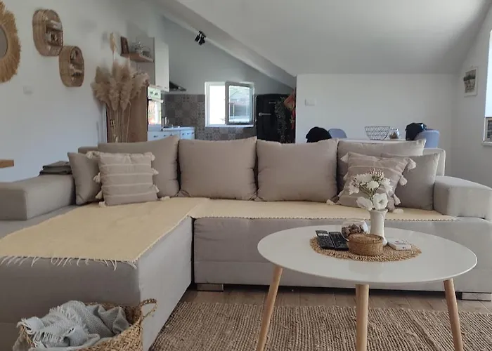 Stan Na Dan Jungle Bajina Basta