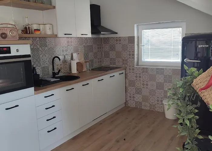 Stan Na Dan Jungle Bajina Basta