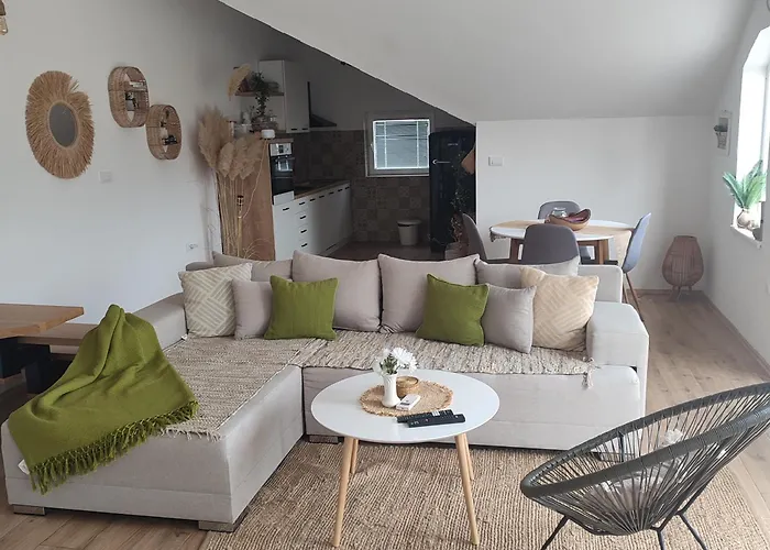 Stan Na Dan Jungle * Bajina Basta